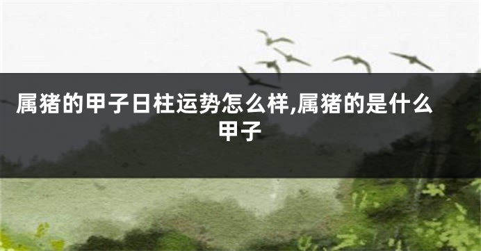 属猪的甲子日柱运势怎么样,属猪的是什么甲子