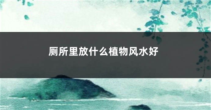 厕所里放什么植物风水好