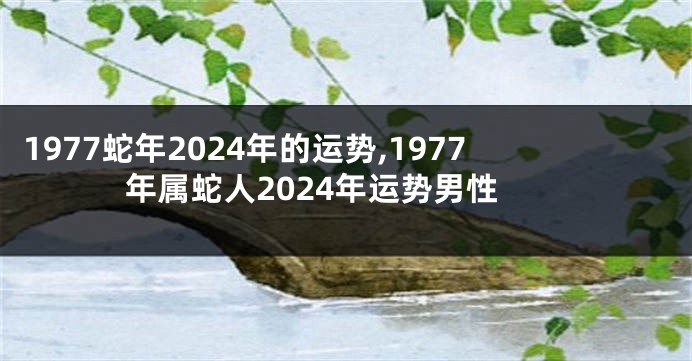 1977蛇年2024年的运势,1977年属蛇人2024年运势男性