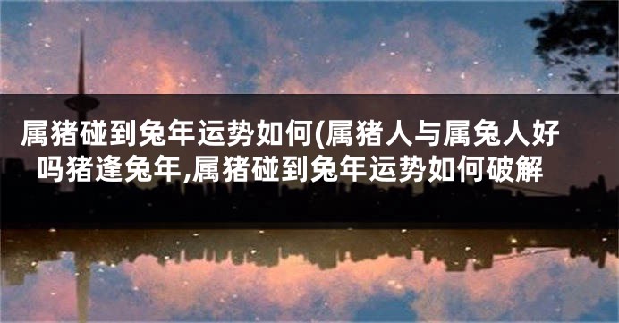 属猪碰到兔年运势如何(属猪人与属兔人好吗猪逢兔年,属猪碰到兔年运势如何破解