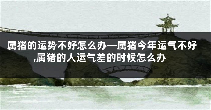 属猪的运势不好怎么办—属猪今年运气不好,属猪的人运气差的时候怎么办