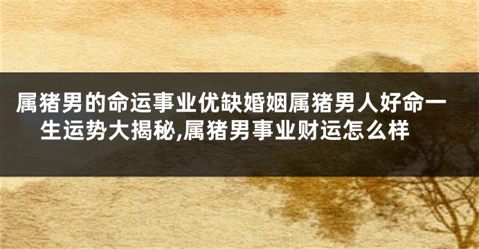 属猪男的命运事业优缺婚姻属猪男人好命一生运势大揭秘,属猪男事业财运怎么样