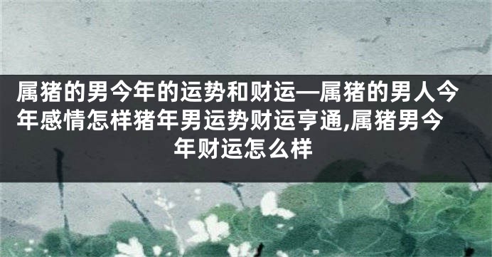 属猪的男今年的运势和财运—属猪的男人今年感情怎样猪年男运势财运亨通,属猪男今年财运怎么样