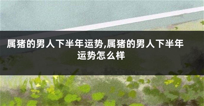 属猪的男人下半年运势,属猪的男人下半年运势怎么样