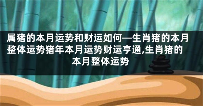 属猪的本月运势和财运如何—生肖猪的本月整体运势猪年本月运势财运亨通,生肖猪的本月整体运势