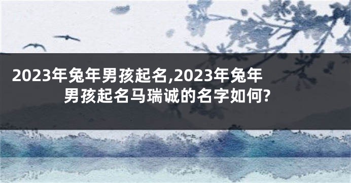 2023年兔年男孩起名,2023年兔年男孩起名马瑞诚的名字如何?