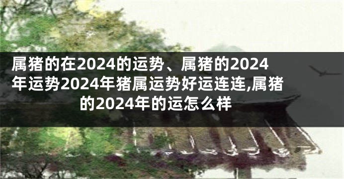 属猪的在2024的运势、属猪的2024年运势2024年猪属运势好运连连,属猪的2024年的运怎么样