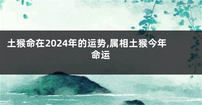 土猴命在2024年的运势,属相土猴今年命运