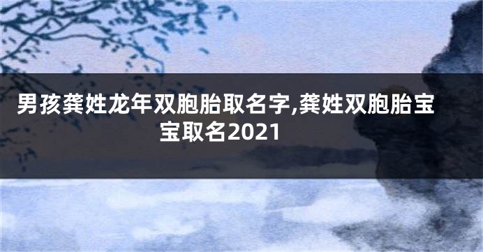 男孩龚姓龙年双胞胎取名字,龚姓双胞胎宝宝取名2021