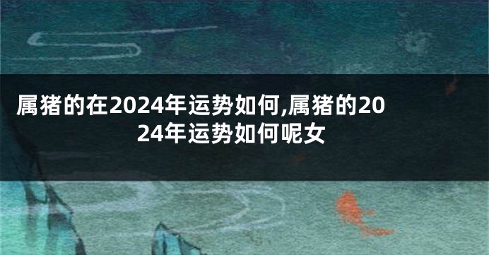 属猪的在2024年运势如何,属猪的2024年运势如何呢女