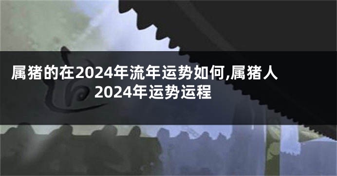 属猪的在2024年流年运势如何,属猪人2024年运势运程