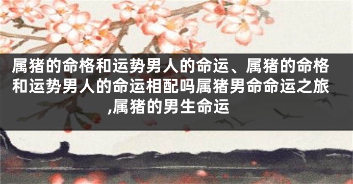 属猪的命格和运势男人的命运、属猪的命格和运势男人的命运相配吗属猪男命命运之旅,属猪的男生命运