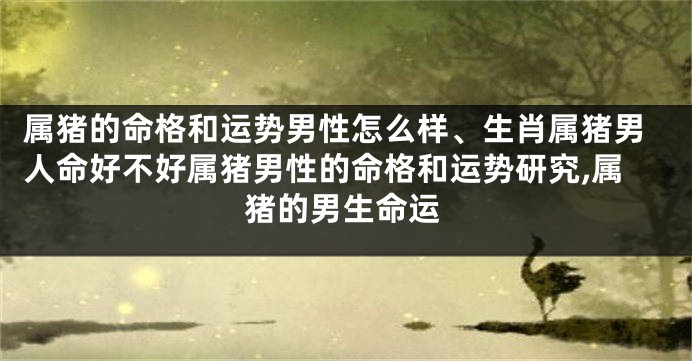 属猪的命格和运势男性怎么样、生肖属猪男人命好不好属猪男性的命格和运势研究,属猪的男生命运