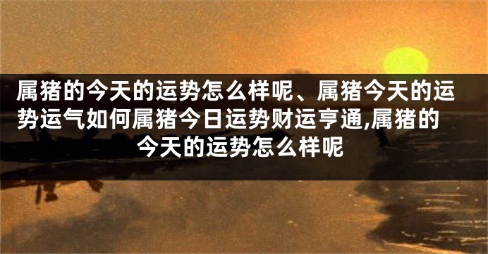 属猪的今天的运势怎么样呢、属猪今天的运势运气如何属猪今日运势财运亨通,属猪的今天的运势怎么样呢