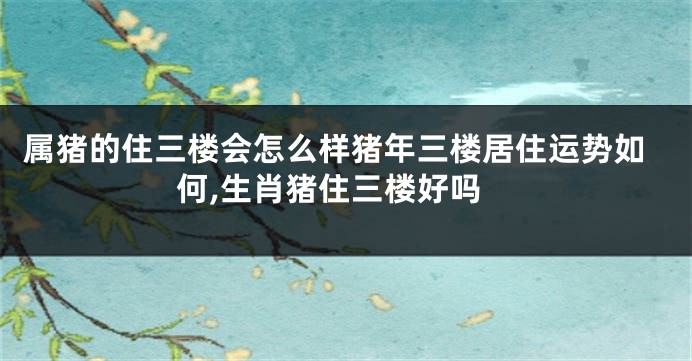 属猪的住三楼会怎么样猪年三楼居住运势如何,生肖猪住三楼好吗