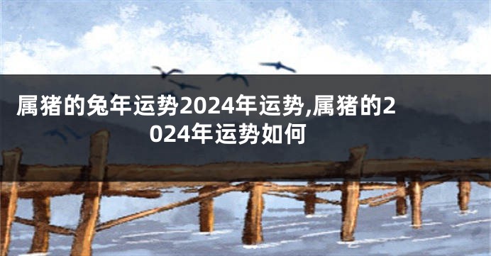 属猪的兔年运势2024年运势,属猪的2024年运势如何