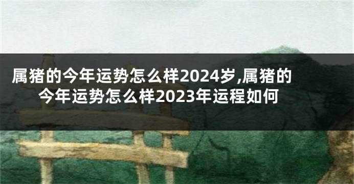 属猪的今年运势怎么样2024岁,属猪的今年运势怎么样2023年运程如何