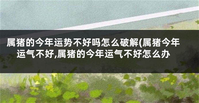 属猪的今年运势不好吗怎么破解(属猪今年运气不好,属猪的今年运气不好怎么办