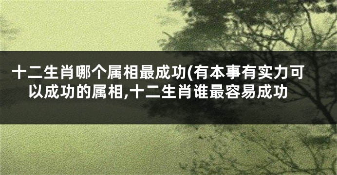 十二生肖哪个属相最成功(有本事有实力可以成功的属相,十二生肖谁最容易成功