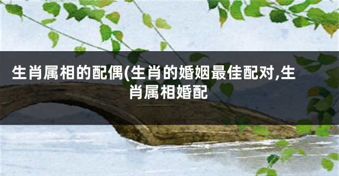 生肖属相的配偶(生肖的婚姻最佳配对,生肖属相婚配