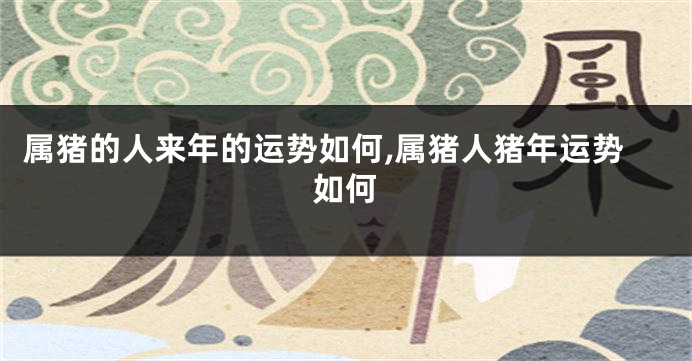 属猪的人来年的运势如何,属猪人猪年运势如何