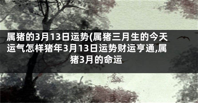 属猪的3月13日运势(属猪三月生的今天运气怎样猪年3月13日运势财运亨通,属猪3月的命运