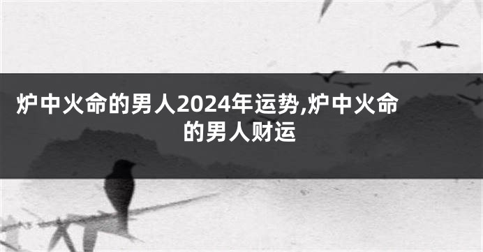 炉中火命的男人2024年运势,炉中火命的男人财运