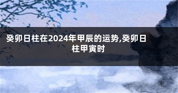 癸卯日柱在2024年甲辰的运势,癸卯日柱甲寅时