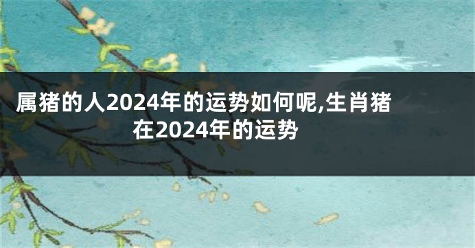 属猪的人2024年的运势如何呢,生肖猪在2024年的运势