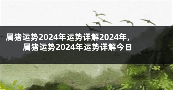 属猪运势2024年运势详解2024年,属猪运势2024年运势详解今日