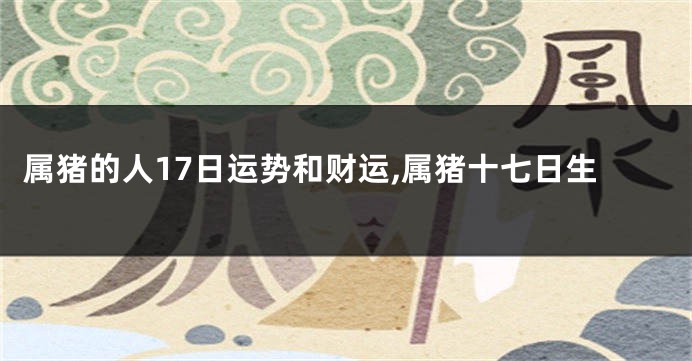 属猪的人17日运势和财运,属猪十七日生