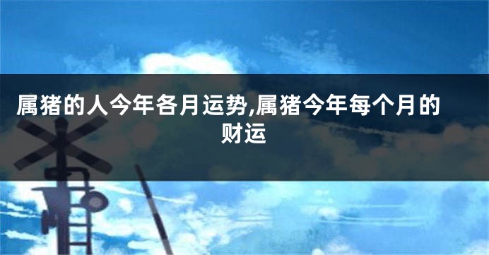 属猪的人今年各月运势,属猪今年每个月的财运