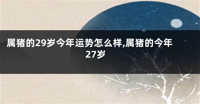 属猪的29岁今年运势怎么样,属猪的今年27岁