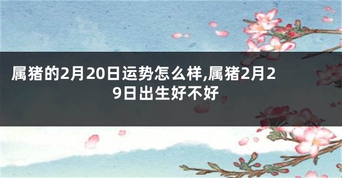 属猪的2月20日运势怎么样,属猪2月29日出生好不好