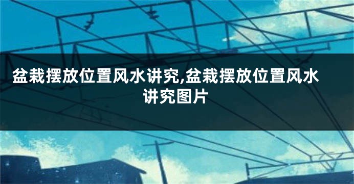 盆栽摆放位置风水讲究,盆栽摆放位置风水讲究图片