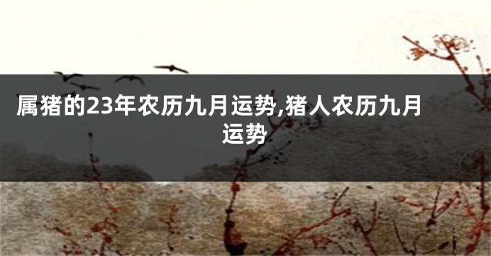 属猪的23年农历九月运势,猪人农历九月运势