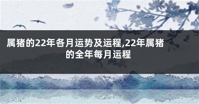 属猪的22年各月运势及运程,22年属猪的全年每月运程