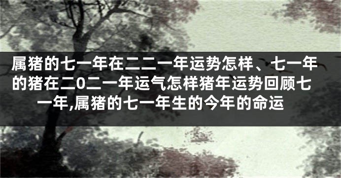 属猪的七一年在二二一年运势怎样、七一年的猪在二0二一年运气怎样猪年运势回顾七一年,属猪的七一年生的今年的命运