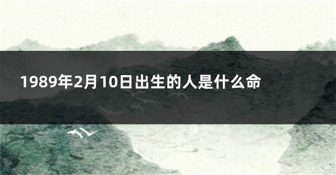 1989年2月10日出生的人是什么命