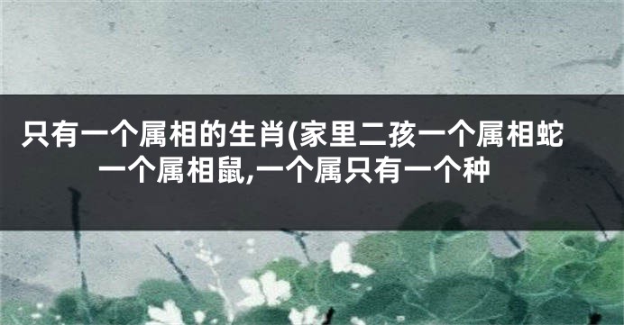 只有一个属相的生肖(家里二孩一个属相蛇一个属相鼠,一个属只有一个种