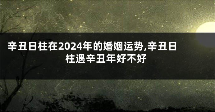 辛丑日柱在2024年的婚姻运势,辛丑日柱遇辛丑年好不好