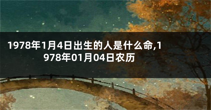 1978年1月4日出生的人是什么命,1978年01月04日农历