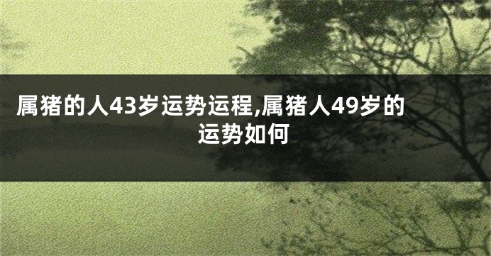 属猪的人43岁运势运程,属猪人49岁的运势如何