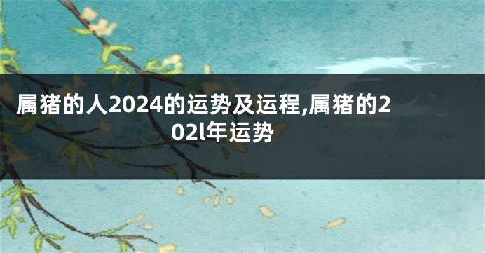 属猪的人2024的运势及运程,属猪的202l年运势