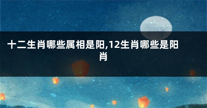 十二生肖哪些属相是阳,12生肖哪些是阳肖