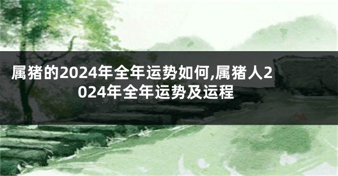 属猪的2024年全年运势如何,属猪人2024年全年运势及运程