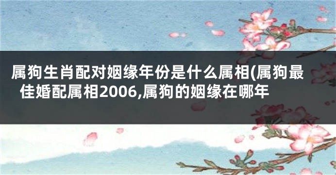 属狗生肖配对姻缘年份是什么属相(属狗最佳婚配属相2006,属狗的姻缘在哪年