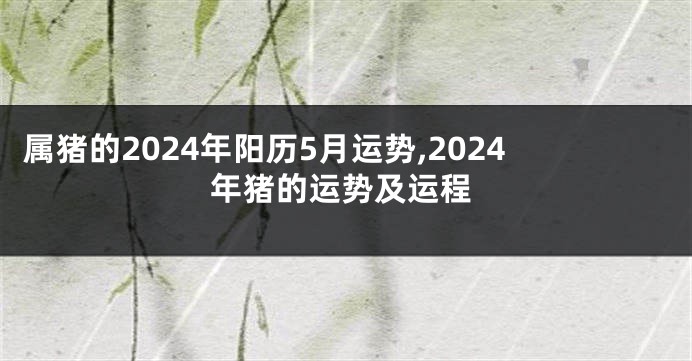 属猪的2024年阳历5月运势,2024年猪的运势及运程