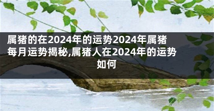 属猪的在2024年的运势2024年属猪每月运势揭秘,属猪人在2024年的运势如何