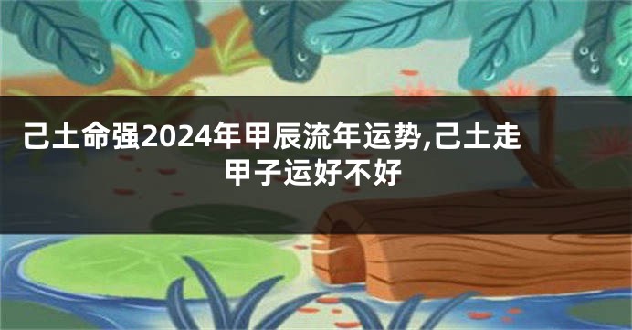 己土命强2024年甲辰流年运势,己土走甲子运好不好